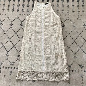 Massimo Dutti Ivory Lace Shift Dress